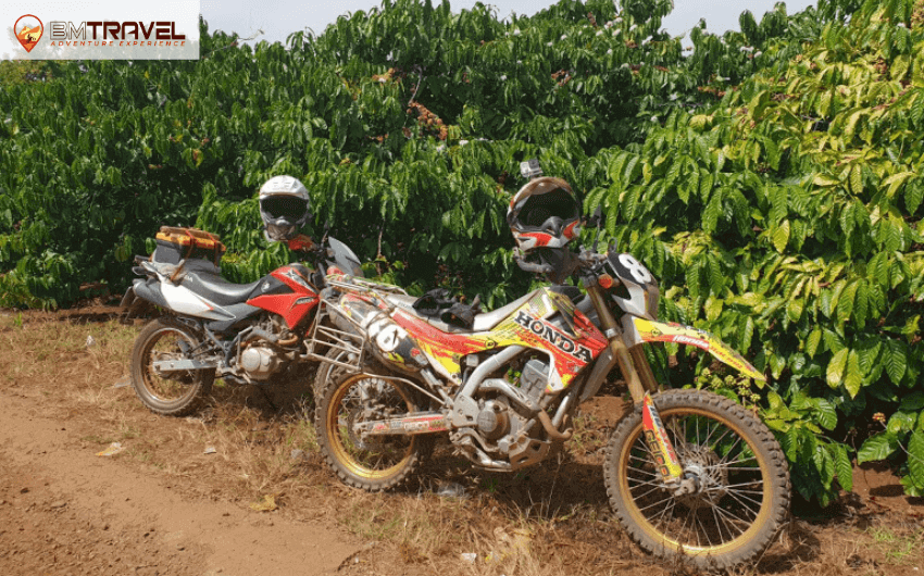 Saigon Motorcycle Tour